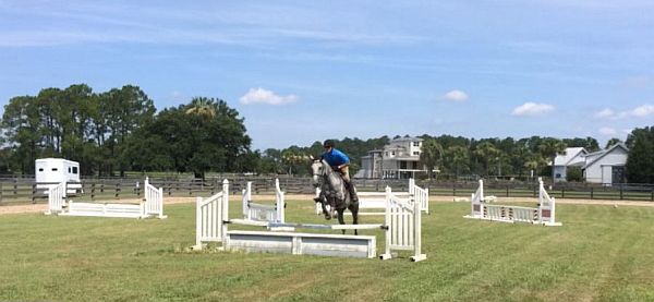 Sandy Creek Stables Horse Jumping